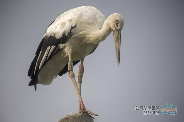 대표시청각 이미지