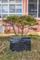 김해합성초등학교 개교100주년 기념식수 썸네일 이미지